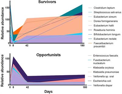 Gut dysbiosis mediates the association between antibiotic exposure and chronic disease